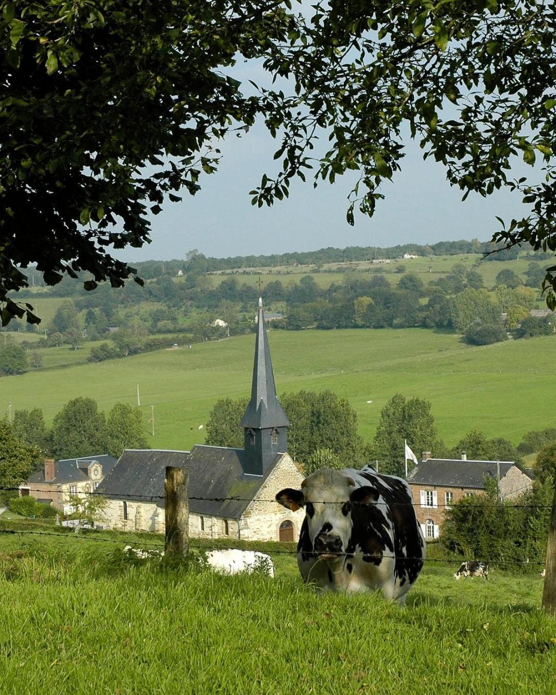 Gite Insolite "Le Coup De Foudre" Sa Vue Panoramique Vimoutiers Exteriör bild